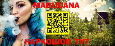 сатива Краснознаменск