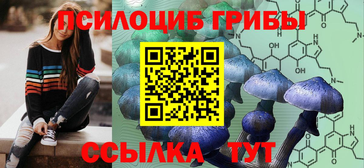 Галлюциногенные грибы GOLDEN TEACHER  Вход с VPN  Кострома 